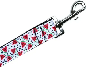 Watermelon Nylon Pet Leash 1in By 4ft