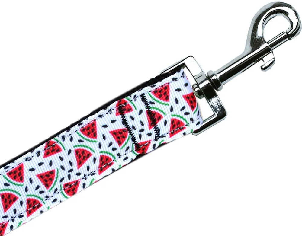 Watermelon Nylon Pet Leash 1in By 4ft